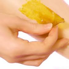 Global Castor Wax Market