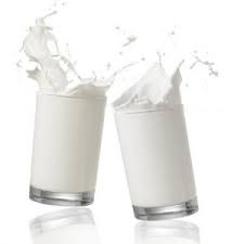 Global Lactose Market