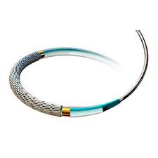 Global Paclitaxel-Eluting Stent Market