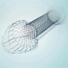 Global Prostate Stent Market